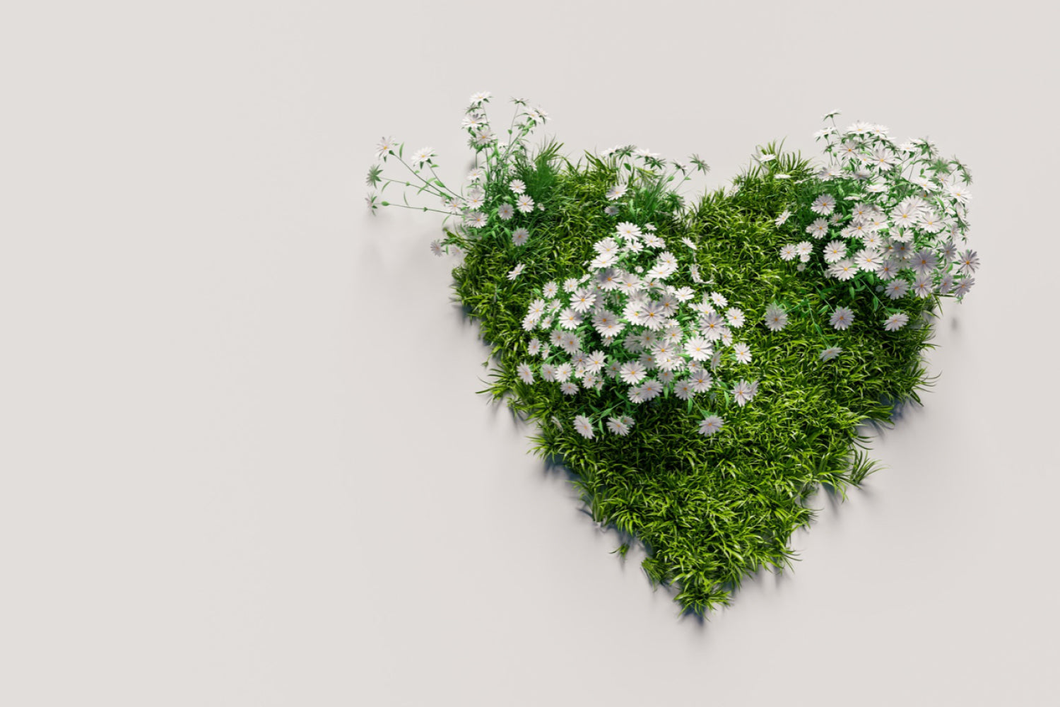 Living an Eco-Friendly Lifestyle on a Budget