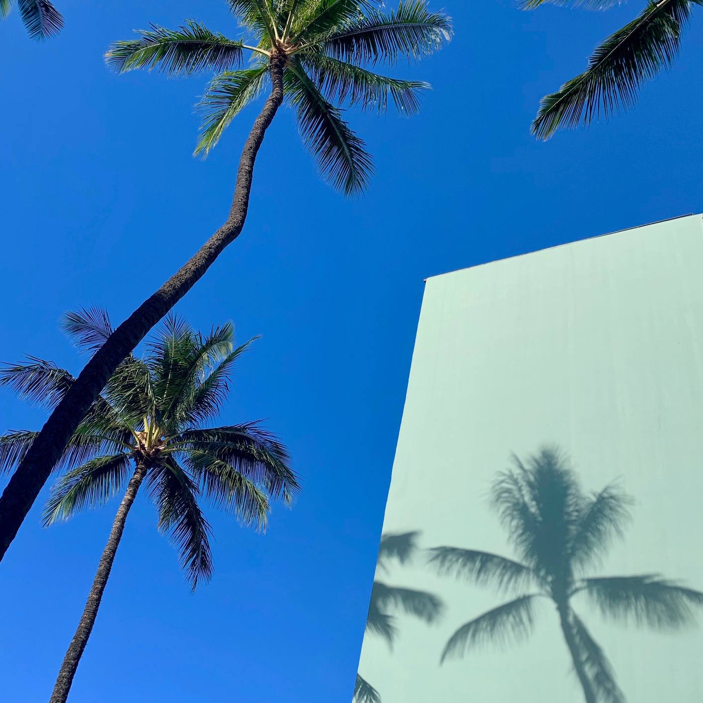 Embracing sustainability in Dubai and the UAE