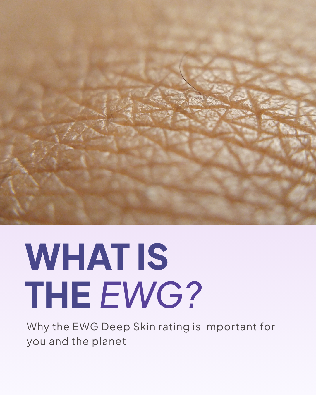 Understanding EWG Ratings