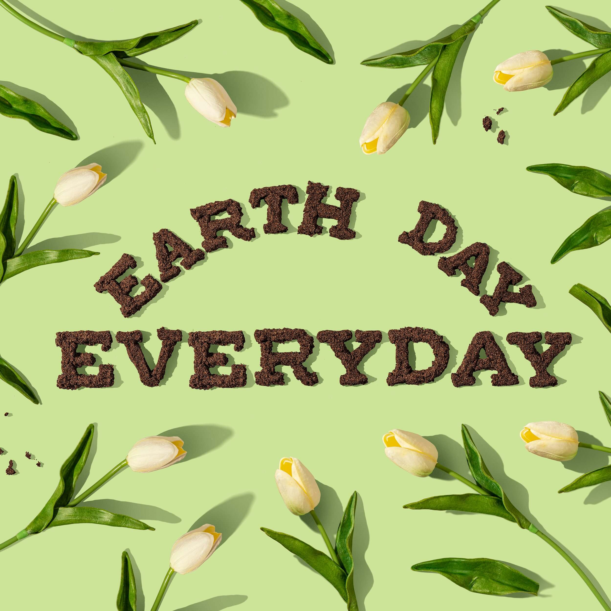 Celebrating Earth Day Everyday: A short history